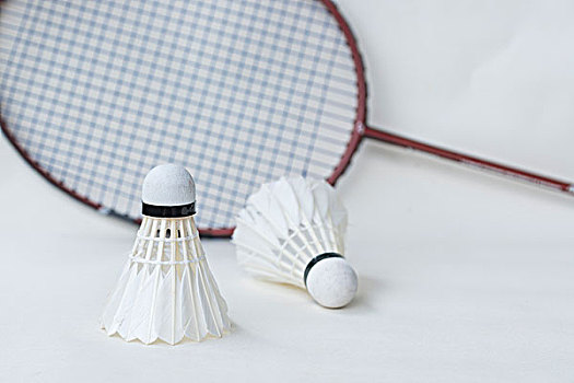 的能力与影 的能力与影