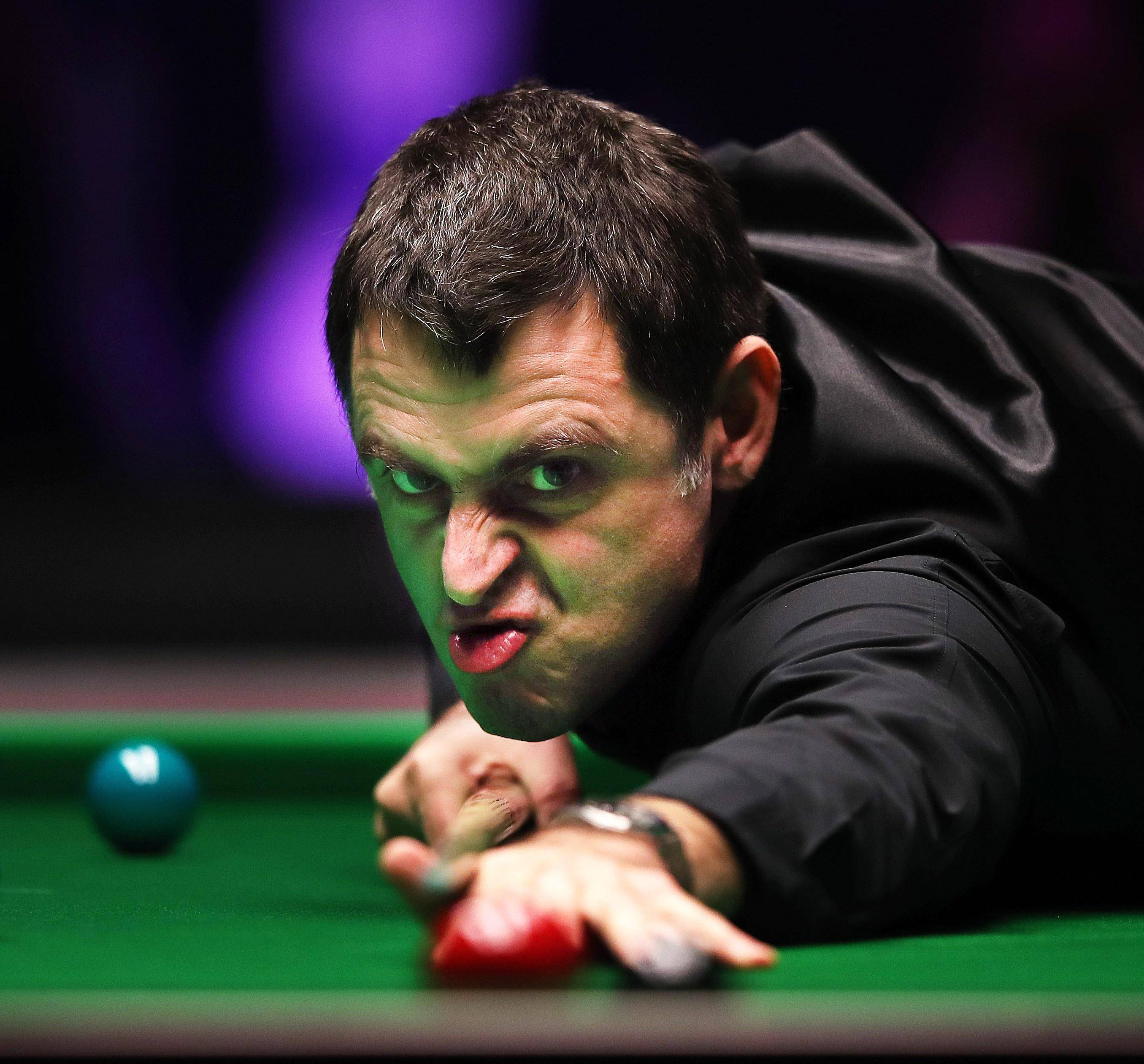 这对令人羡 这对令人羡