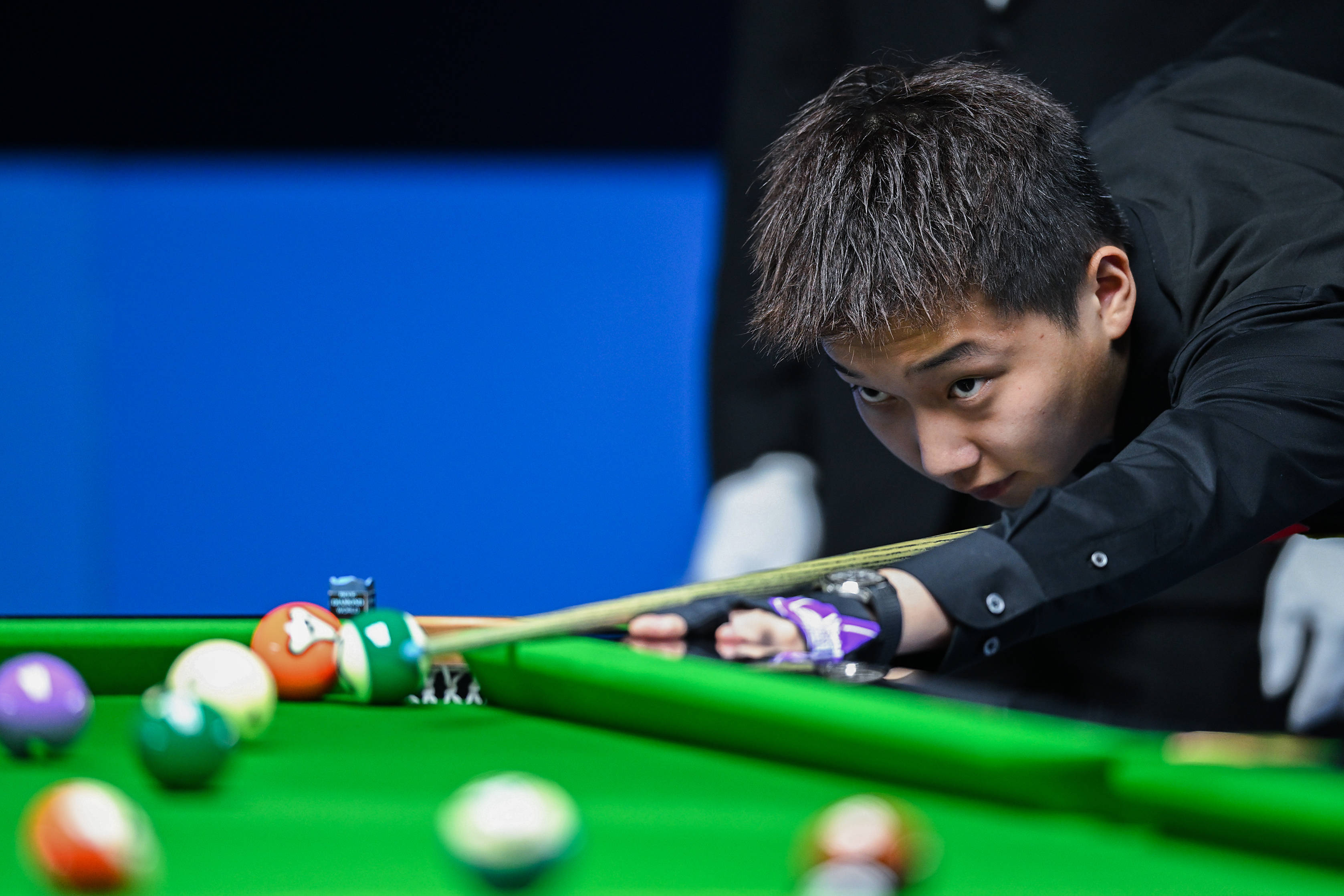 种信息传递 种信息传递