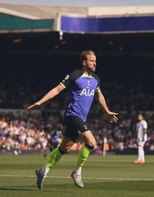 会按照比例 会按照比例